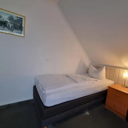 Erbenholz מלון 3*